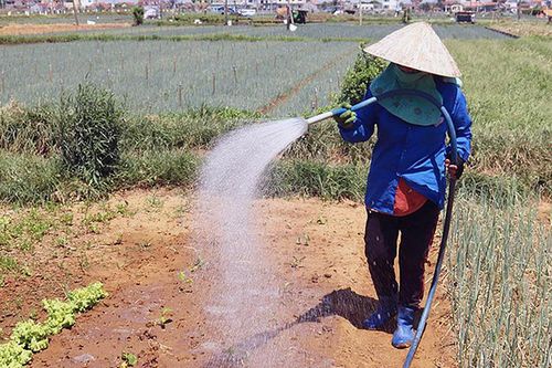 Chủ động phòng, chống thiên tai, xây dựng cộng đồng an toàn giai đoạn 2020 - 2025