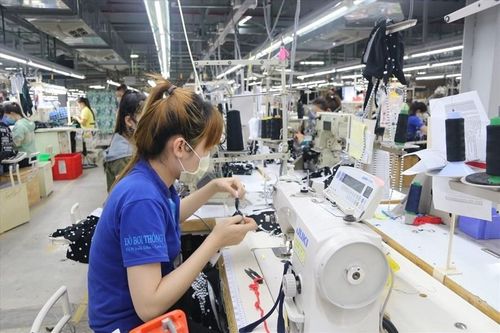 Kiến nghị đóng BHYT cho người lao động bị hoãn việc, mất việc