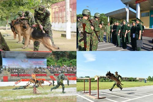 Chó nghiệp vụ Biên phòng Việt Nam sẽ thi tài tại Army Games 2020