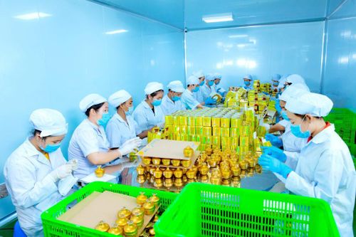 N-Collagen: Hành trình đầy nỗ lực của một thương hiệu mỹ phẩm Việt