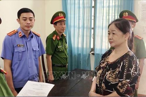 Khởi tố nữ giám đốc buôn lậu, xuất khẩu gạo trái phép