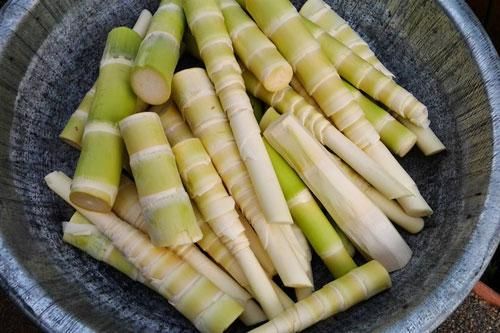 Luộc măng tươi kiểu này bao nhiêu độc tố 'bay' sạch lại giòn ngọt không sợ đắng