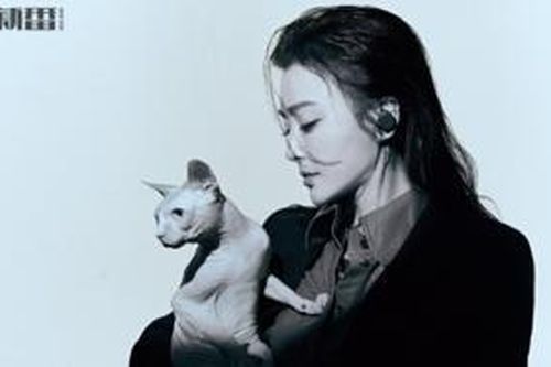 Bị nói sinh con là nghĩa vụ của phụ nữ, Tần Lam thẳng thắn trả lời: 'Tử cung là của tôi...'