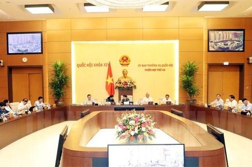 Không cho phép cá nhân Việt Nam ký thỏa thuận quốc tế