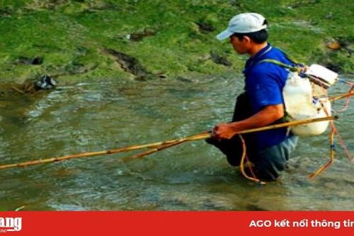 Kiểm tra, xử phạt khai thác thủy sản bằng ngư cụ cấm