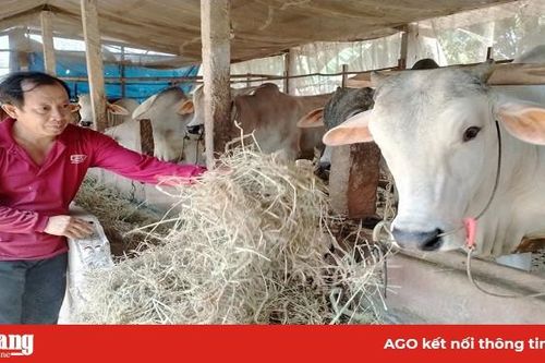 Tái cơ cấu nông nghiệp, mừng thì nhiều nhưng lo chẳng ít