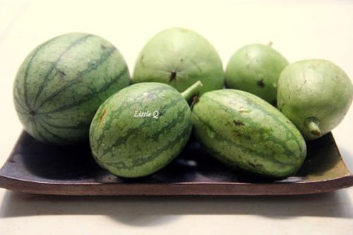 Dưa hồng