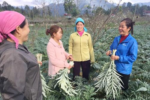 Bài 4: Không thể nghèo mãi