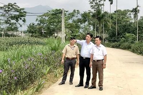 Đảng bộ huyện Yên Lập: Chú trọng công tác xây dựng Đảng