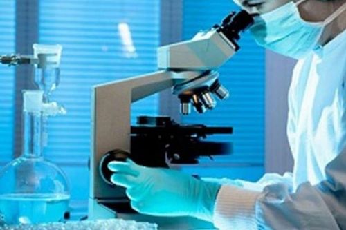 Tìm thấy kháng thể SARS-CoV-2 trong sữa mẹ