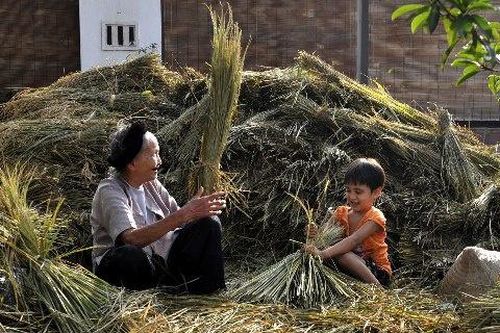 Bóng bà trong mảnh vườn xưa