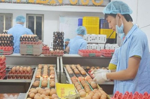 Nông nghiệp Thủ đô nỗ lực bứt phá