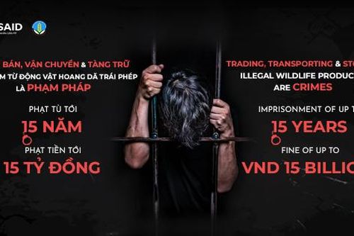 Bảo vệ động vật hoang dã từ quan điểm bảo tồn