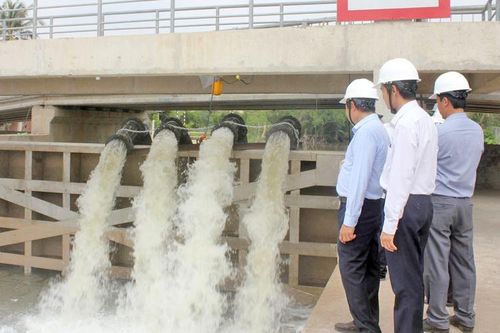 Tập trung chống hạn và dịch bệnh trên cây trồng, vật nuôi