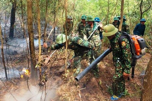 'Sắc xanh' xung kích trong trận chiến với 'giặc lửa'