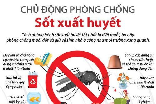 Chủ động phòng chống bệnh sốt xuất huyết