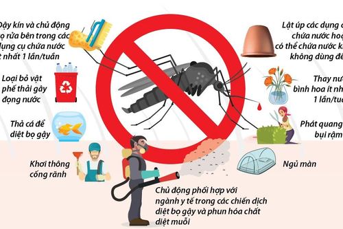 Chủ động phòng, chống sốt xuất huyết