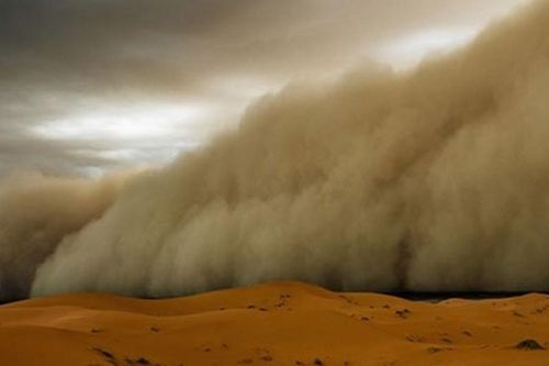 Mây bụi Sahara - phần quan trọng của chu kỳ dinh dưỡng Trái đất