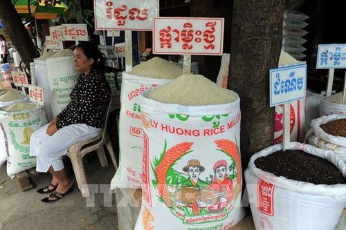 Campuchia sẽ tiếp tục xuất khẩu gạo vì an ninh lương thực thế giới
