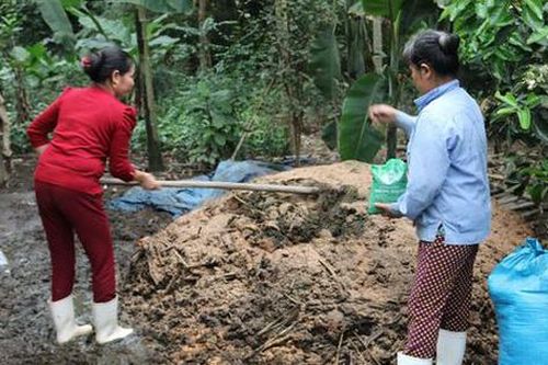Quy trình xử lý rác hữu cơ tại hộ gia đình