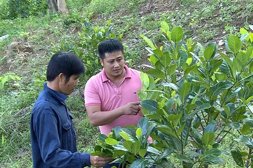 Ðổi mới để thúc đẩy nông nghiệp