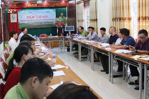 Tham vấn công tác quản lý, sản xuất và kinh doanh giống quế