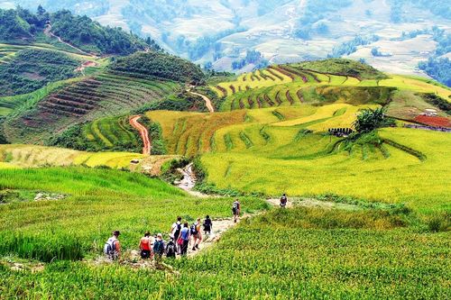 Sapa và Ninh Bình lọt top 14 điểm đến mới nổi ở châu Á nên ghé thăm