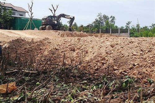 Ngăn chặn vụ xâm phạm rừng ngập mặn ở xã Triệu Độ