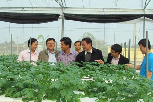 Nam Định: Đẩy mạnh ứng dụng khoa học công nghệ vào thực tiễn