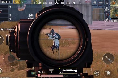 Đội PUBG Mobile của Việt Nam giành top 1 thế giới với số điểm kỷ lục