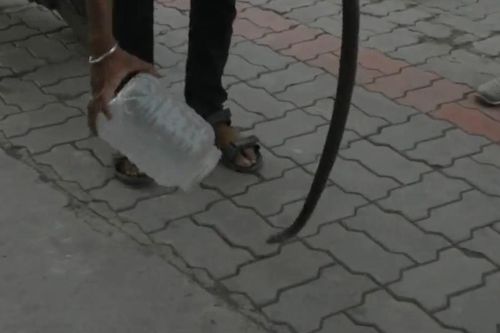 Bị từ chối đổ xăng, người đàn ông đem rắn đến tấn công nhân viên