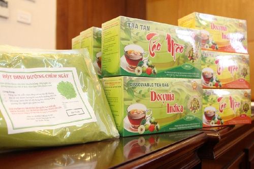 Nhiều giải pháp KH&CN phục vụ phát triển bền vững vùng Tây Bắc