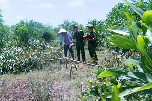 Thanh Hóa: Mâu thuẫn lúc chăn bò, 3 người vác dao chặt hạ hơn 700 cây keo