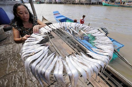 Việt Nam trở thành hình mẫu giảm nghèo