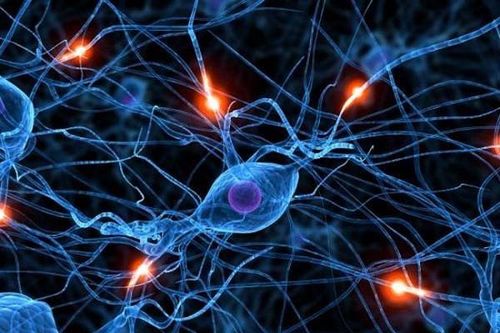 Những sự thật thú vị chứng minh cơ thể con người là kỳ diệu nhất
