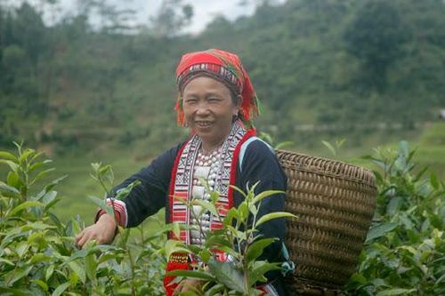 Thí điểm chuyển đổi số, phát triển kinh tế xã hội bằng công nghệ tại 7 xã khó khăn