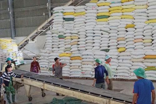 EU công bố hạn ngạch nhập khẩu nông sản và gạo Việt Nam theo EVFTA
