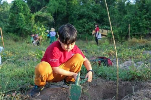 Học sinh VUS khởi động mùa hè bằng việc trồng hơn 2,5 ngàn cây xanh