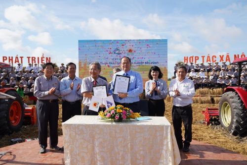 Lộc Trời xây dựng chuỗi liên kết hợp tác xã nông nghiệp kiểu mới tại An Giang