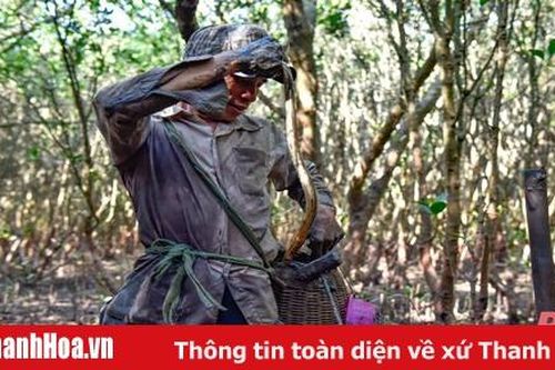 Theo chân thợ săn cá nhệch
