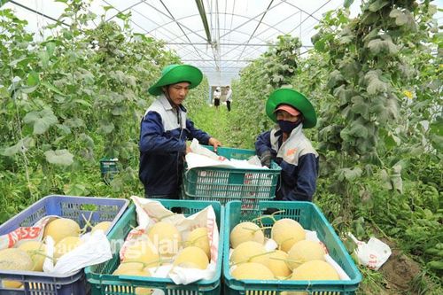Khi nghị quyết đi vào cuộc sống