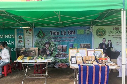 Gia Lai có 226 hợp tác xã hoạt động trong lĩnh vực nông nghiệp