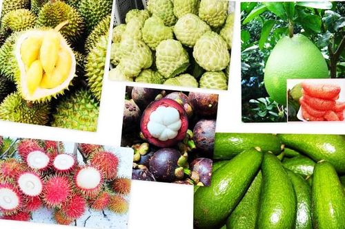 Thông báo Phiên chợ Nông sản huyện Khánh Sơn năm 2020