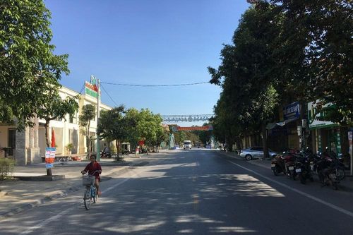 Thanh Hóa: Tăng cường quản lý, thúc đẩy phát triển cây xanh đô thị