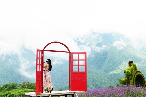 Rủ nhau lên Sapa 'ướp lạnh' mùa hè, xem 'Vó ngựa trên mây'