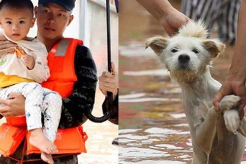 Trẻ em được giải cứu; riêng chó, mèo, lợn, gà, động vật hoang dã tự chạy trốn trong mưa lũ ở Trung Quốc