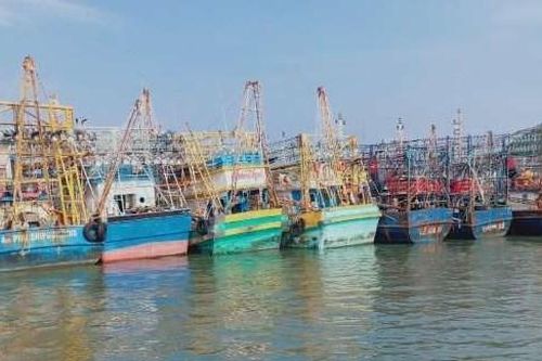 Bảo hiểm cho tàu 67 tại Bình Định: Vẫn 'bóng chim tăm cá'