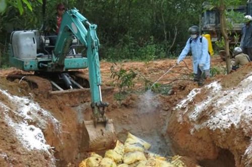 Lo ngại dịch bệnh gia súc, gia cầm gia tăng