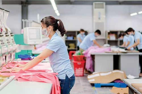 Đối tác Mỹ của May Sông Hồng xin phá sản