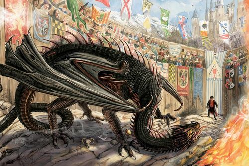 Rồng mõm cụt Thụy Điển trông ra sao trong 'Harry Potter'?